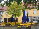 muzeum